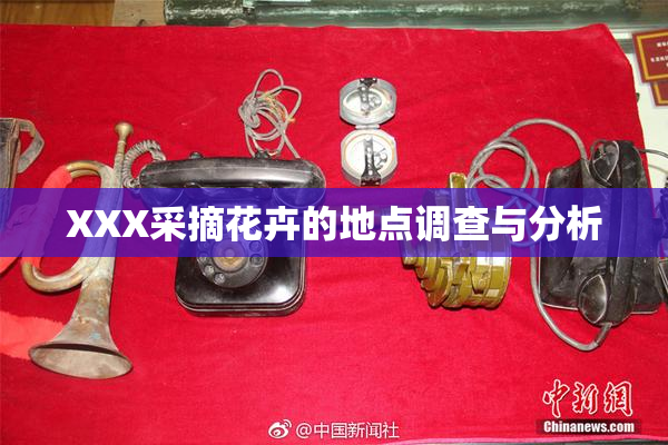 XXX采摘花卉的地点调查与分析