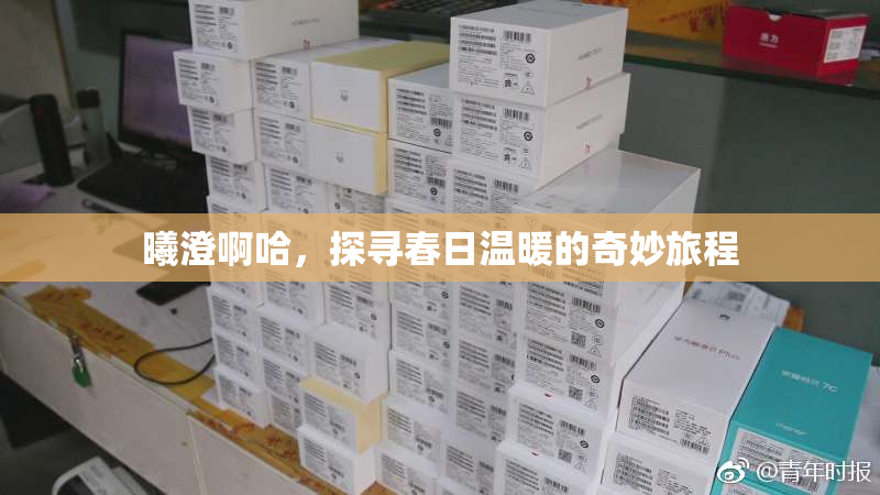 曦澄啊哈，探寻春日温暖的奇妙旅程