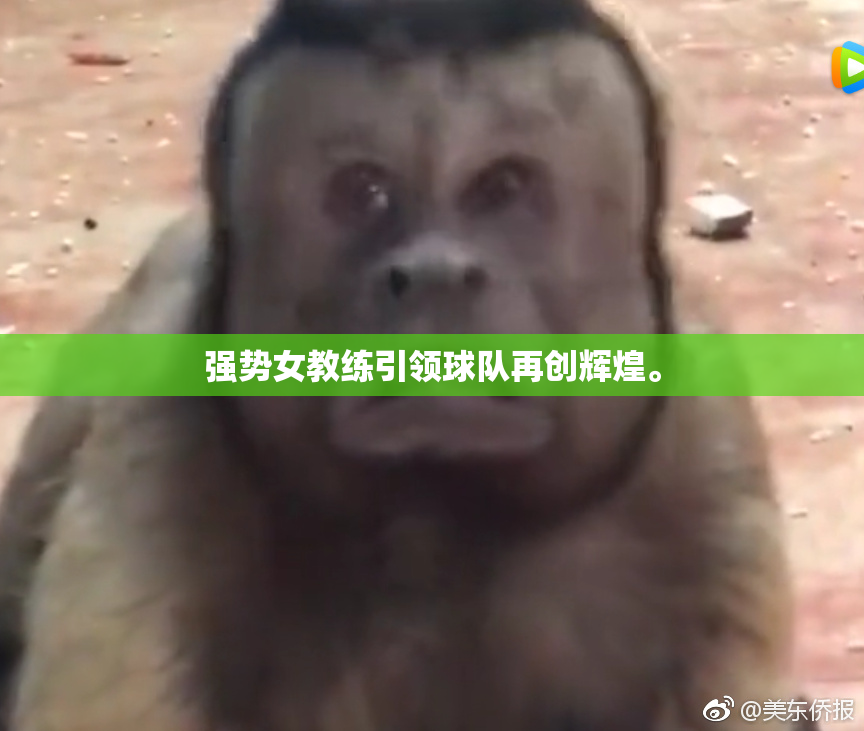 强势女教练引领球队再创辉煌。