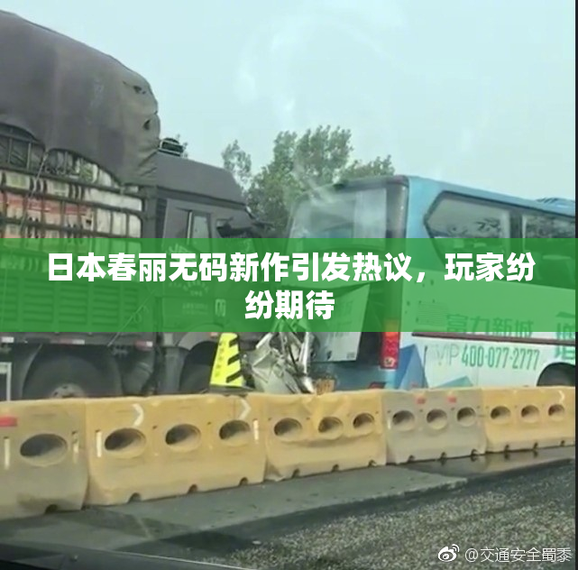 日本春丽无码新作引发热议，玩家纷纷期待