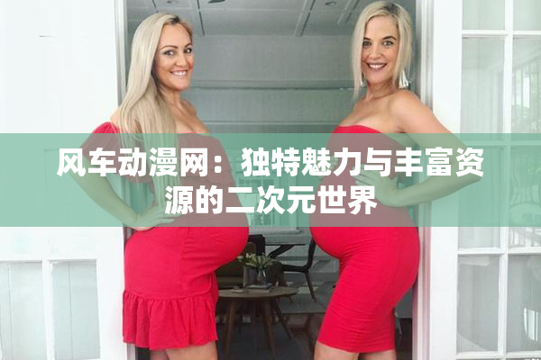 风车动漫网：独特魅力与丰富资源的二次元世界