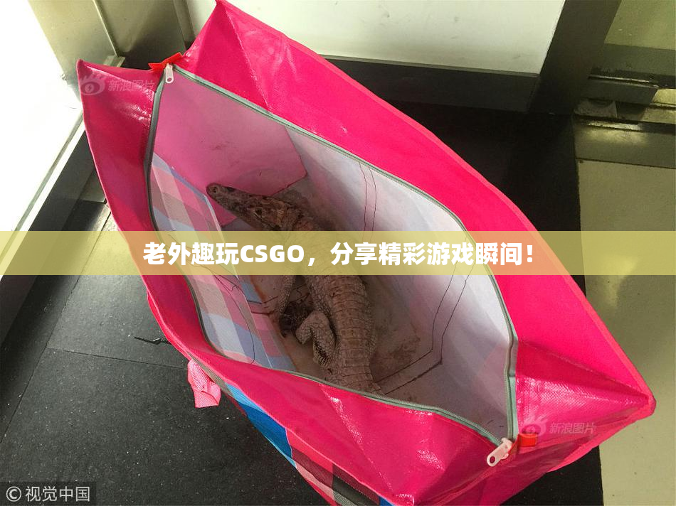 老外趣玩CSGO，分享精彩游戏瞬间！