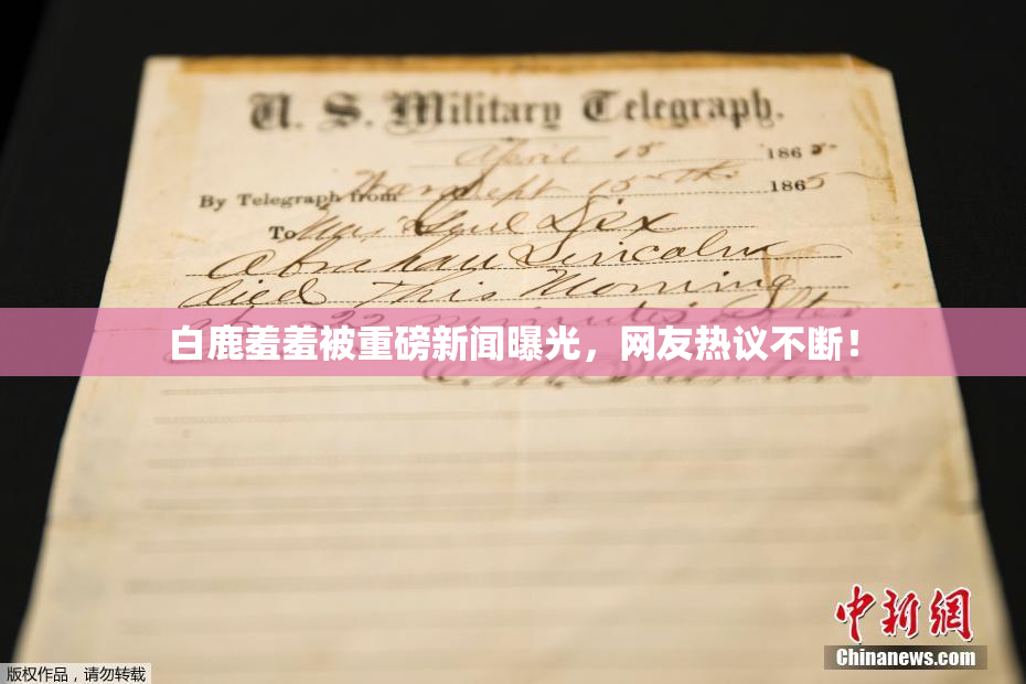 白鹿羞羞被重磅新闻曝光，网友热议不断！