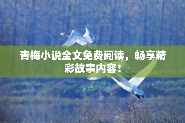 青梅小说全文免费阅读，畅享精彩故事内容！