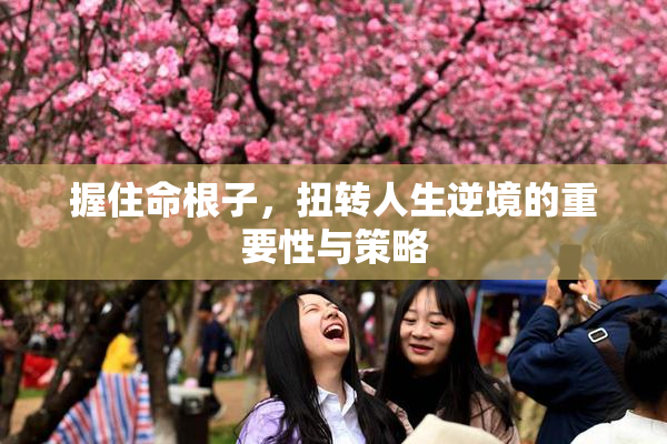 握住命根子，扭转人生逆境的重要性与策略