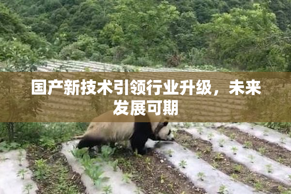 国产新技术引领行业升级，未来发展可期