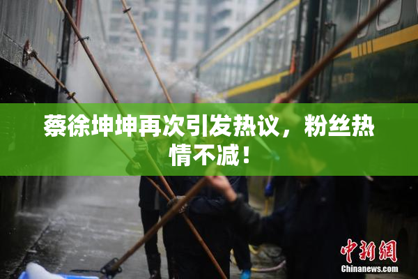 蔡徐坤坤再次引发热议，粉丝热情不减！