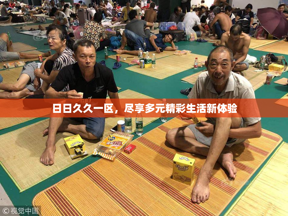 日日久久一区，尽享多元精彩生活新体验