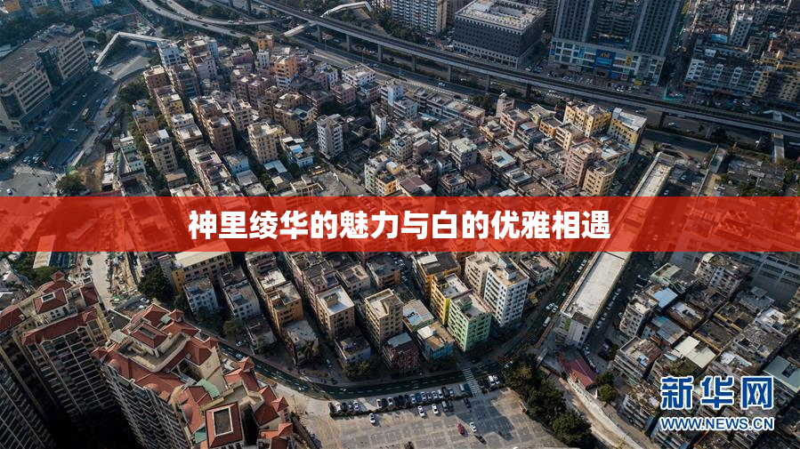 神里绫华的魅力与白的优雅相遇