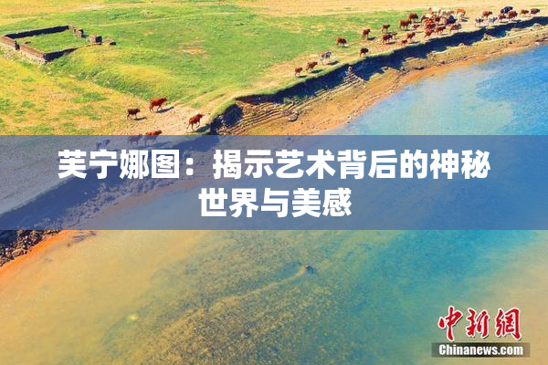 芙宁娜图：揭示艺术背后的神秘世界与美感