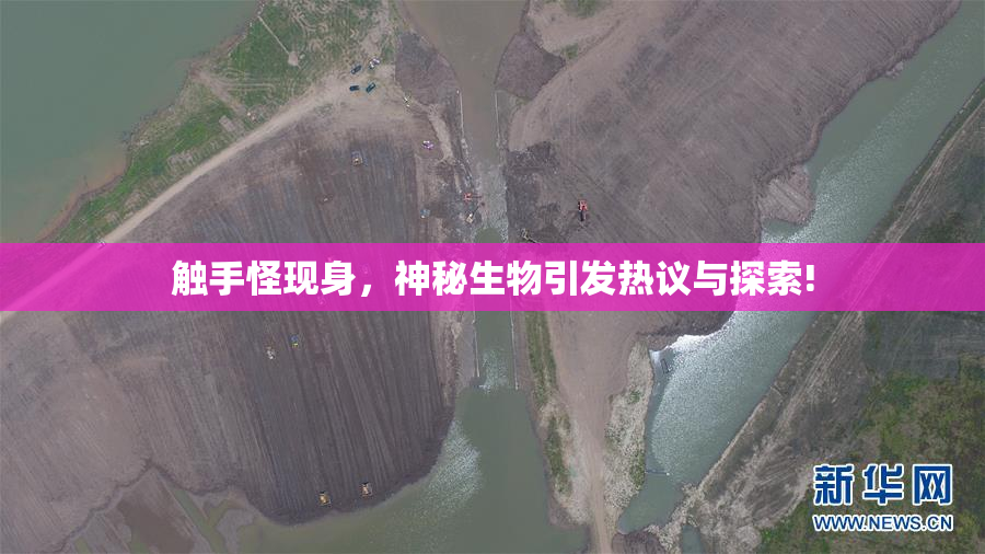 触手怪现身，神秘生物引发热议与探索!