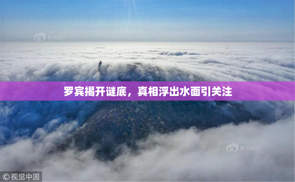 罗宾揭开谜底，真相浮出水面引关注