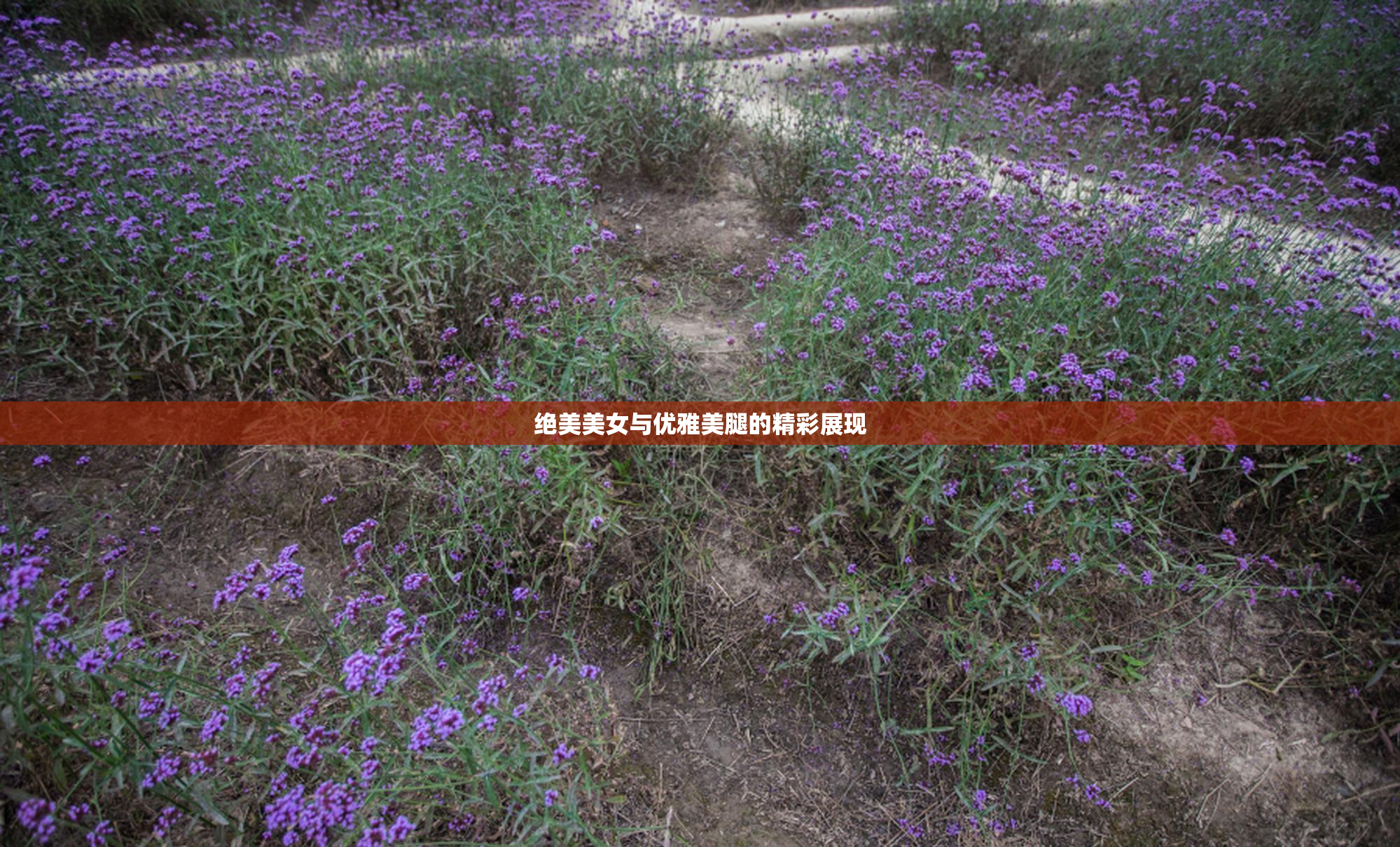 绝美美女与优雅美腿的精彩展现