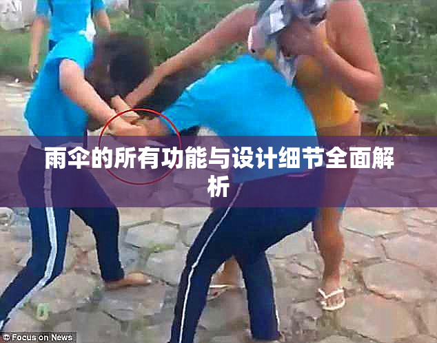 雨伞的所有功能与设计细节全面解析
