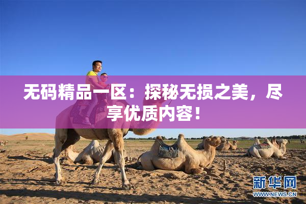 无码精品一区：探秘无损之美，尽享优质内容！