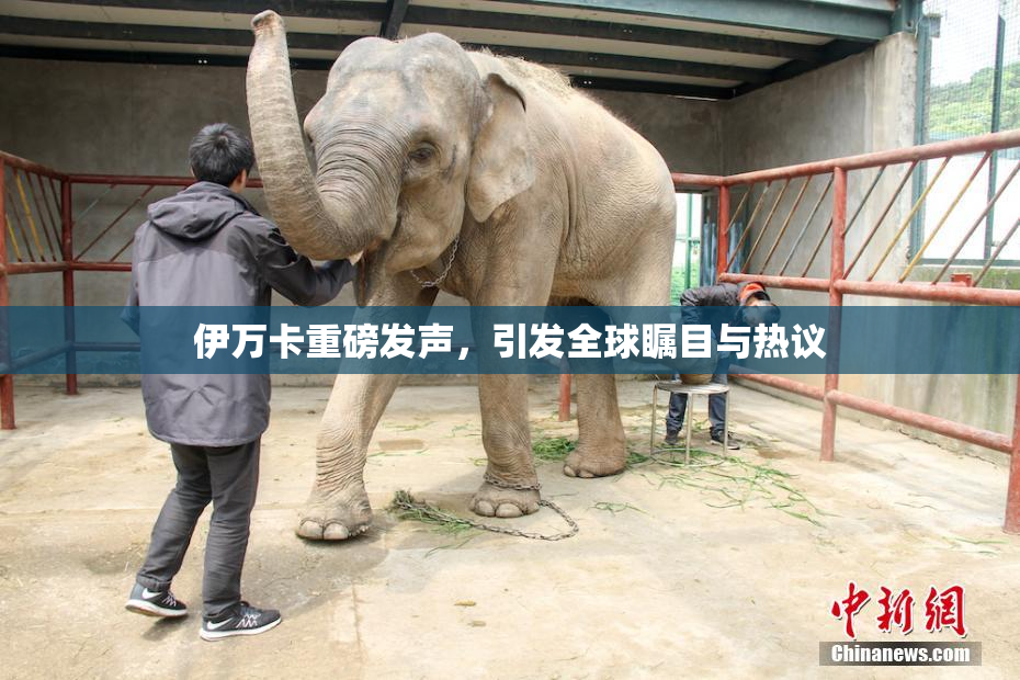 伊万卡重磅发声，引发全球瞩目与热议