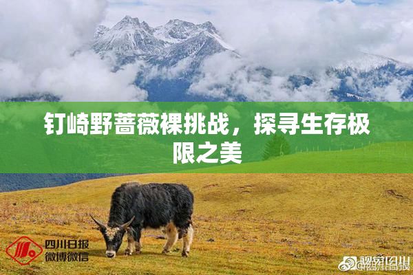 钉崎野蔷薇裸挑战，探寻生存极限之美