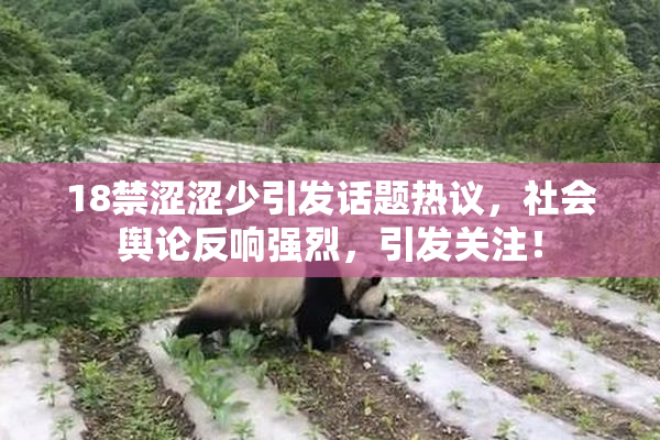 18禁涩涩少引发话题热议，社会舆论反响强烈，引发关注！