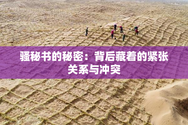 骚秘书的秘密：背后藏着的紧张关系与冲突