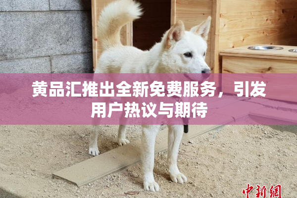 黄品汇推出全新免费服务，引发用户热议与期待