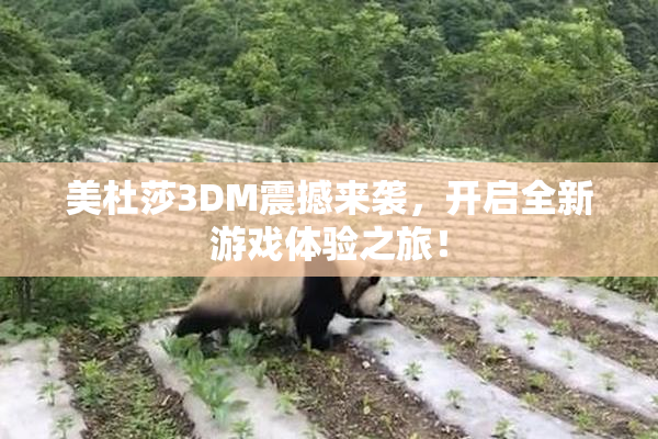 美杜莎3DM震撼来袭，开启全新游戏体验之旅！