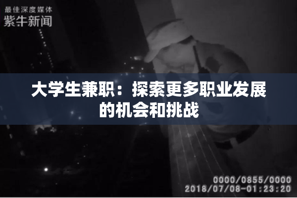 大学生兼职：探索更多职业发展的机会和挑战