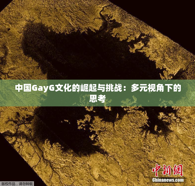中国GayG文化的崛起与挑战：多元视角下的思考