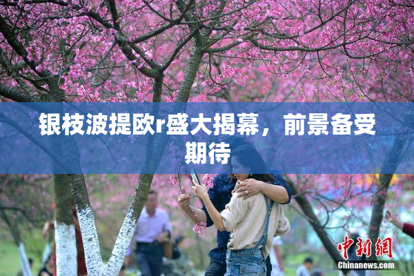 银枝波提欧r盛大揭幕，前景备受期待