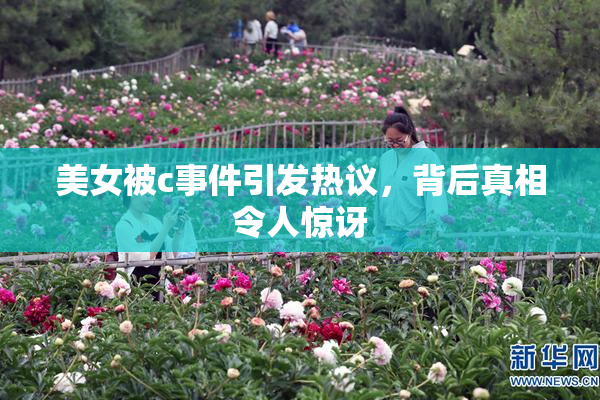 美女被c事件引发热议，背后真相令人惊讶
