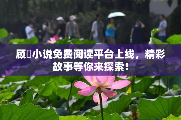顾嫚小说免费阅读平台上线，精彩故事等你来探索！
