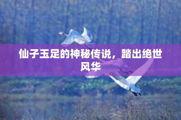 仙子玉足的神秘传说，踏出绝世风华