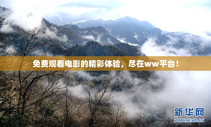 免费观看电影的精彩体验，尽在ww平台！