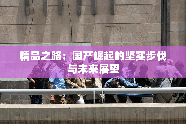 精品之路：国产崛起的坚实步伐与未来展望