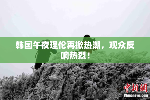 韩国午夜理伦再掀热潮，观众反响热烈！
