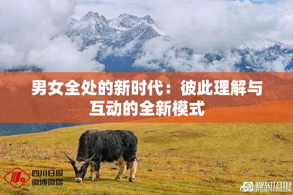 男女全处的新时代：彼此理解与互动的全新模式