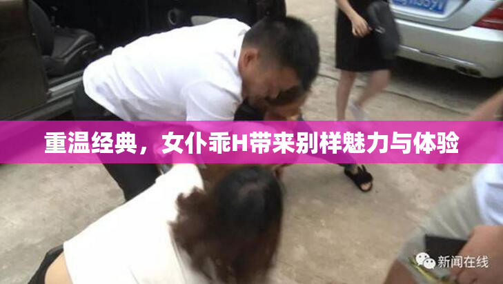 重温经典，女仆乖H带来别样魅力与体验