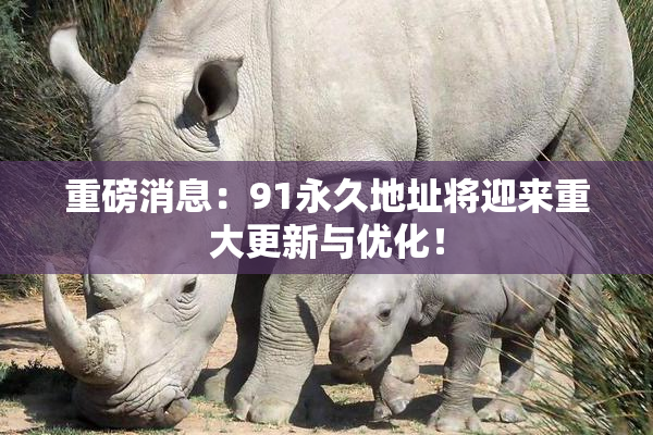 重磅消息：91永久地址将迎来重大更新与优化！