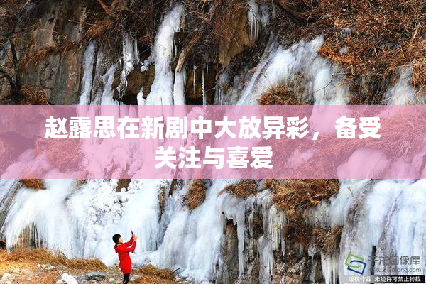 赵露思在新剧中大放异彩，备受关注与喜爱