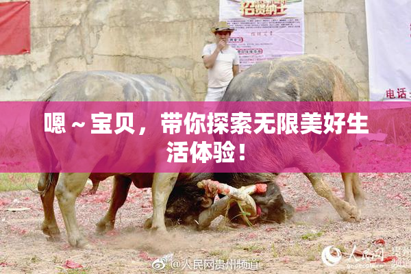 嗯～宝贝，带你探索无限美好生活体验！
