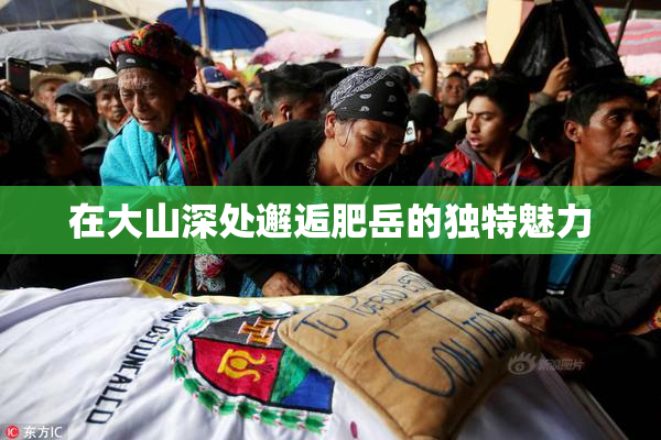 在大山深处邂逅肥岳的独特魅力