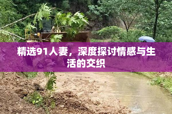 精选91人妻，深度探讨情感与生活的交织