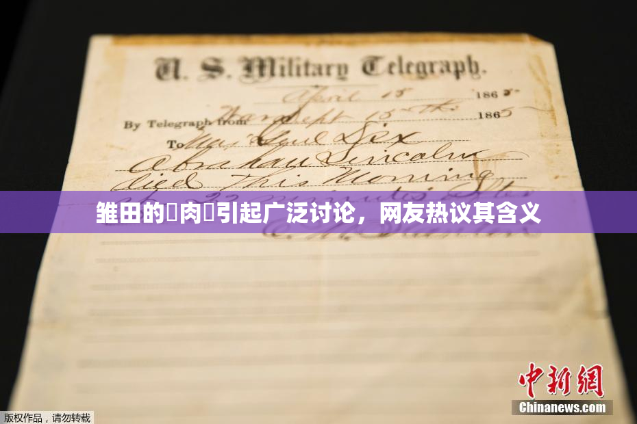 雏田的婬肉泬引起广泛讨论，网友热议其含义