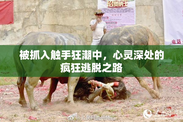 被抓入触手狂潮中，心灵深处的疯狂逃脱之路