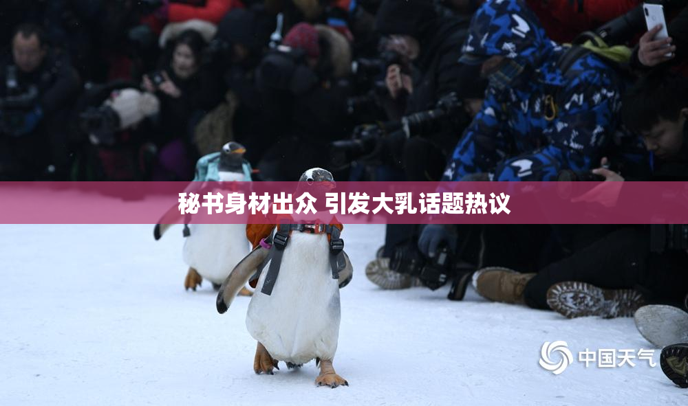 秘书身材出众 引发大乳话题热议