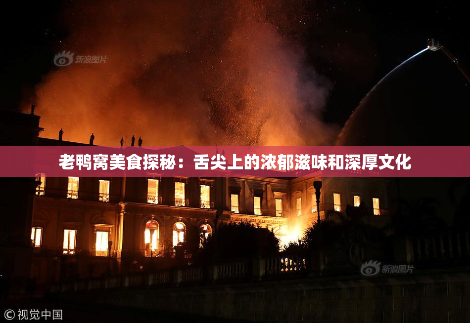 老鸭窝美食探秘：舌尖上的浓郁滋味和深厚文化