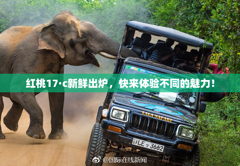 红桃17·c新鲜出炉，快来体验不同的魅力！