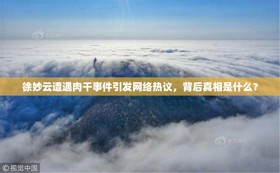 徐妙云遭遇肉干事件引发网络热议，背后真相是什么？