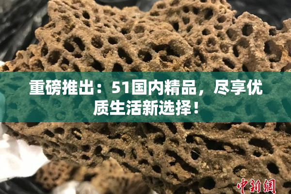 重磅推出：51国内精品，尽享优质生活新选择！