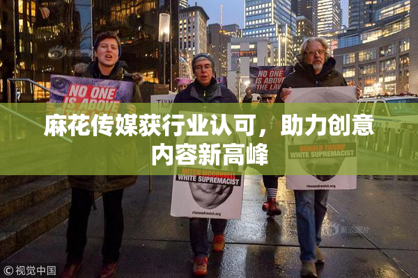 麻花传媒获行业认可，助力创意内容新高峰