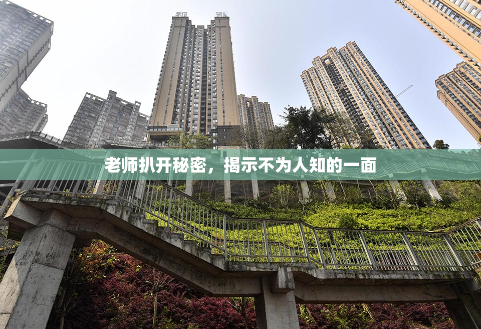老师扒开秘密，揭示不为人知的一面
